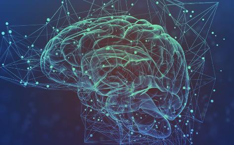 Stata数据处理 从入门到精通的核心流程与技巧